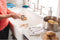 ReadyClean™ Probiotic Sink and Disposer Cleaner 6 pack