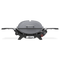 Q 2800N+ Gas Grill (Liquid Propane)