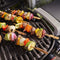 Q 2800N+ Gas Grill (Liquid Propane)