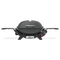 Q 2800N+ Gas Grill (Liquid Propane)