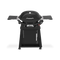 Q 2800N+ Gas Grill with Stand (Liquid Propane)