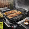 Q 2800N+ Gas Grill with Stand (Liquid Propane)