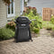 Q 2800N+ Gas Grill with Stand (Liquid Propane)
