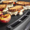 Q 2800N+ Gas Grill with Stand (Liquid Propane)