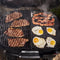 Q 2800N+ Gas Grill with Stand (Liquid Propane)