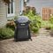 Q 2800N+ Gas Grill with Stand (Liquid Propane)
