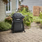 Q 2800N+ Gas Grill with Stand (Liquid Propane)