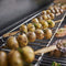Genesis S-315 Gas Grill (Natural Gas)