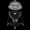 WEBER 18201001 Summit(R) Kamado E6 Charcoal Grill - 24 Inch Black