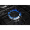 AMANA AGR6303MMS 30-inch Gas Range with Bake Assist Temps