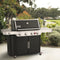 Genesis E-435 Gas Grill (Natural Gas)