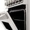 ZLINE 24" 2.8 cu. ft. Dual Fuel Range with Gas Stove and Electric Oven in Stainless Steel and Blue Gloss Door (RA-BG-24)