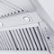 48 In. Professional Convertible Vent Wall Mount Range Hood In Stainless Steel With Crown Molding
