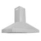 48 In. Professional Convertible Vent Wall Mount Range Hood In Stainless Steel