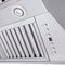 60 In. Professional Convertible Vent Wall Mount Range Hood In Stainless Steel With Crown Molding