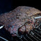 Pellet Grill Meat Probes