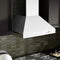 42 In. Professional Ducted Vent Wall Mount Range Hood In Stainless Steel