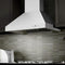 42 In. Professional Ducted Vent Wall Mount Range Hood In Stainless Steel