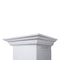 48 In. Professional Ducted Wall Mount Range Hood In Stainless Steel With Crown Molding
