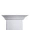 48 In. Professional Ducted Wall Mount Range Hood In Stainless Steel With Crown Molding