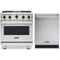Viking 2-Piece Package VGIC53024BSSLP 30 Inch Freestanding Professional Gas Range and VDWU524SS 24 Inch Fully Integrated Dishwasher