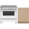 Fisher & Paykel 2-Piece Package OR36SCI6W1 & Paykel 36 Inch Freestanding Induction Range and DW24U6I1 & Paykel 24 Inch Fully Integrated Panel Ready Dishwasher
