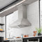 30 In. Professional Convertible Vent Wall Mount Range Hood In Stainless Steel
