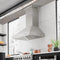 36 In. Professional Ducted Wall Mount Range Hood In Stainless Steel