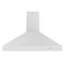 48 In. Professional Ducted Wall Mount Range Hood In Stainless Steel