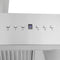 48 In. Professional Ducted Wall Mount Range Hood In Stainless Steel