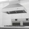 48 in. Ducted Island Mount Range Hood