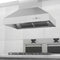 48 in. Ducted Island Mount Range Hood