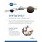 SinkTop Switch - Dual Outlet (Satin Nickel Button Included)