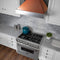 36 In. Ducted Satin Stainless Steel Wall Mount Range Hood With Copper Shell
