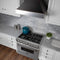 36 In. Ducted Satin Stainless Steel Wall Mount Range Hood With Oil Rubbed Bronze Shell