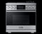 DACOR DOP36M96GLS 36" Pro Gas Range, Silver Stainless Steel, Natural Gas