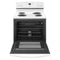30-inch Electric Range with Bake Assist Temps