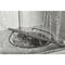 Amana® Dishwasher With Triple Filter Wash System