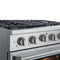 Culinary Series Gas Range