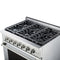 Culinary Series Gas Range