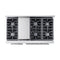 Culinary Series Gas Range