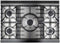 36" Mercury Dual Fuel Range