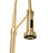 Autograph Edition Apollo Pull Down Spring Single Handle Kitchen Faucet In Champagne Bronze