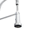 Apollo Pull Down Spring Single Handle Kitchen Faucet In Chrome