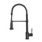 Autograph Edition Apollo Pull Down Spring Single Handle Kitchen Faucet In Matte Black