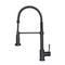 Autograph Edition Apollo Pull Down Spring Single Handle Kitchen Faucet In Matte Black