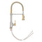 Autograph Edition Apollo Pull Down Spring Single Handle Kitchen Faucet In Brushed Nickel And Champagne Bronze