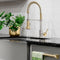 Autograph Edition Apollo Pull Down Spring Single Handle Kitchen Faucet In Brushed Nickel And Champagne Bronze