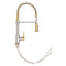 Autograph Edition Apollo Pull Down Spring Single Handle Kitchen Faucet In Brushed Nickel And Champagne Bronze