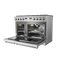 48 Inch Gas Range Contemporary Professional